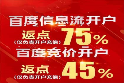SEM代理操作技巧：成功案例揭秘